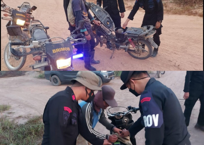 Personel Satbrimob Polda Sumsel Batalyon B Pelopor Lakukan Sweping untuk Cegah Karhutla 