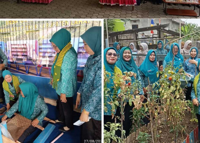 Bukan Kaleng-Kaleng: Desa Banjarsari Sukses Pukau Tim Evaluasi TP PKK Provinsi Sumsel di Kabupaten Lahat