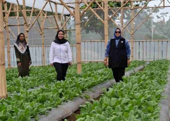 Onih Suryati Sulap Limbah Jadi Usaha, Bukti Sinergi Ultra Mikro BRI Berdayakan Perempuan