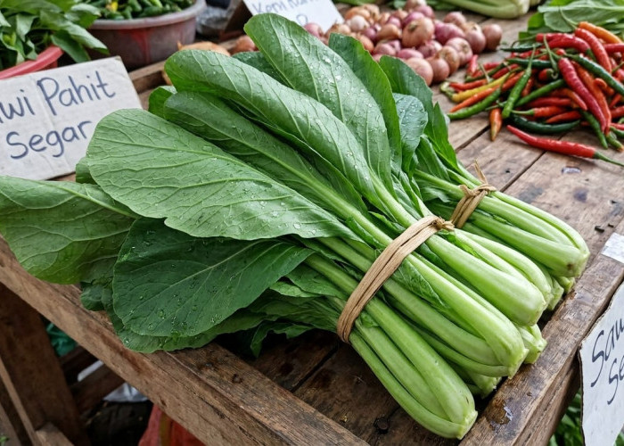Kaya Antioksidan dan Nutrisi Penting, Ketahui Segudang Manfaat serta Tips Aman Mengonsumsi Sawi Pahit