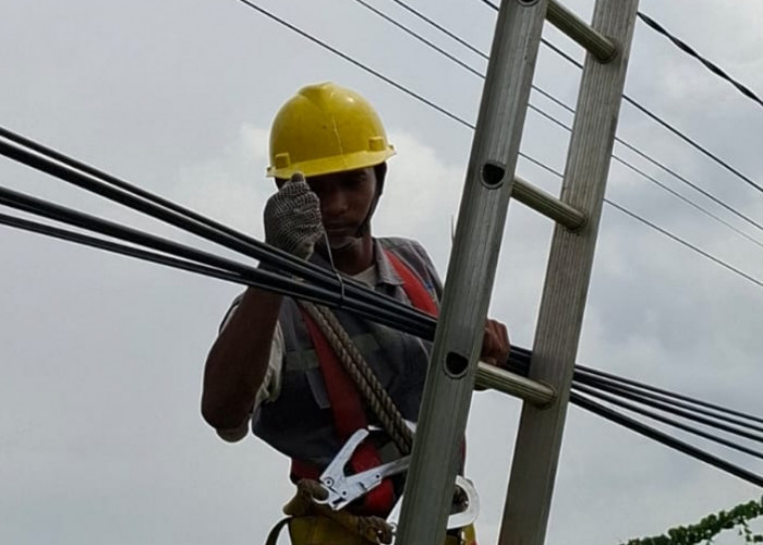 PLN Icon Plus Sumbagsel Lakukan Pemeliharaan Kabel Fiber Optik Demi Tingkatkan Keandalan Jaringan