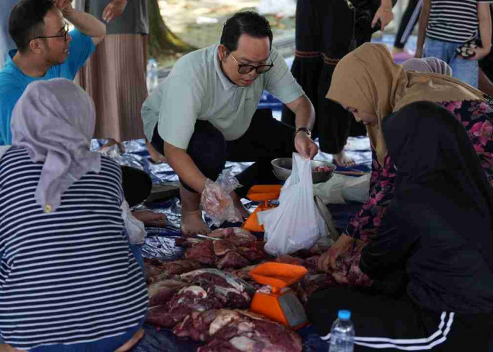 12 Sapi dan 5 Kambing Dikurbankan, Kejati Sumsel Bagikan 1.000 Paket Daging