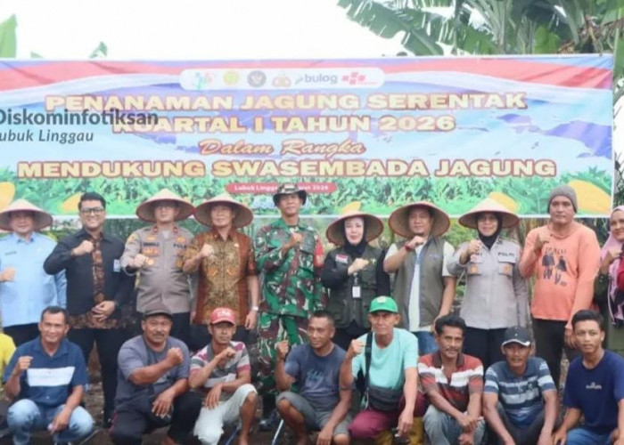 Dukung Program Swasembada Pangan Nasional, Kabulog Lubuklinggau Ikut Tanam Jagung di Batu Urip