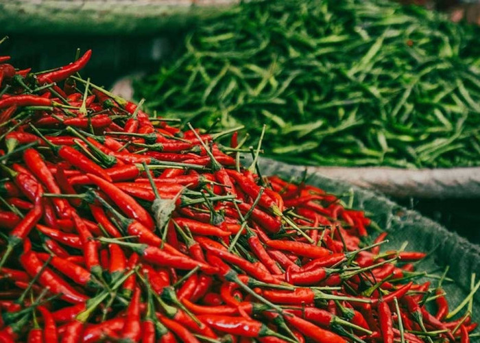 WADAW! Jelang Bulan Suci Harga Cabai di Pasar Palembang Masih Rp 60.000/Kg