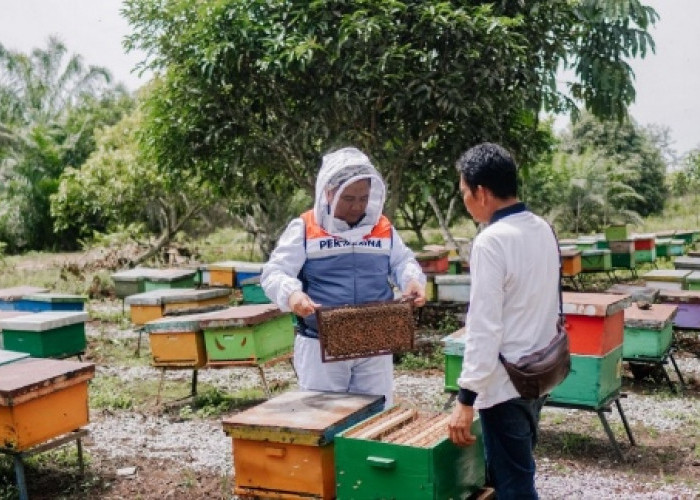 SUKSES BESAR! PHR Zona 1 Raih Dua Penghargaan Paling Bergengsi di Tingkat Internasional