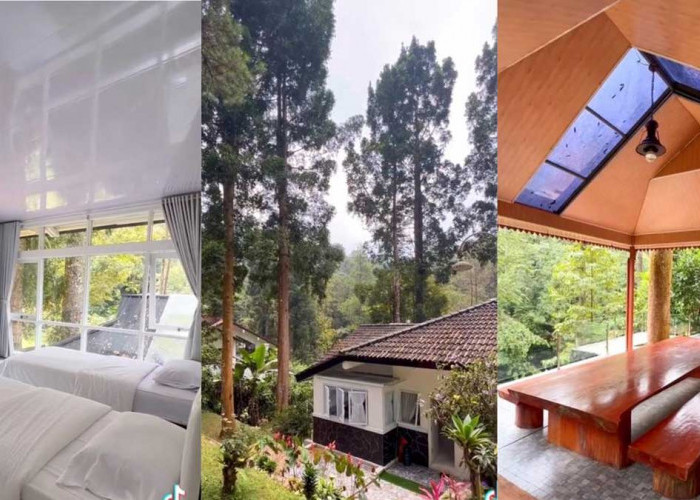 Uji Nyalimu! Ada Private Villa Unik di Bandung, Berada di Tengah Hutan, Seramkah?