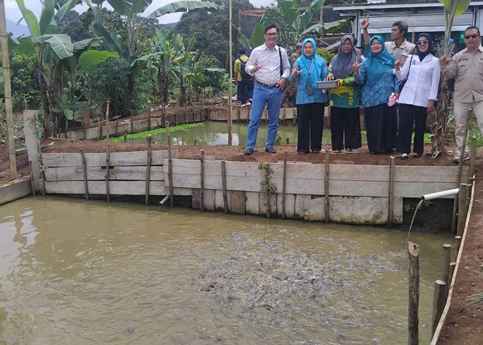 Tepat Sasaran! Begini Cara Pemdes Lesung Batu Ubah Kawasan 'Cuko Simpou' Jadi Sentral Pangan