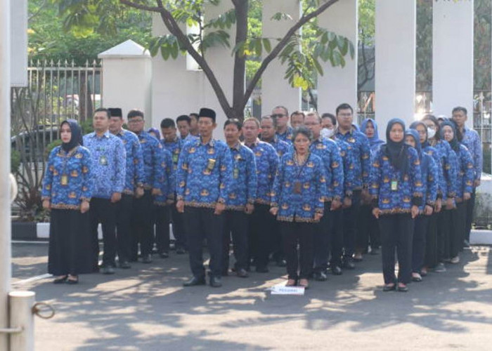 Solusi PPPK Agar Diangkat PNS Harus Melalui Seleksi Ini