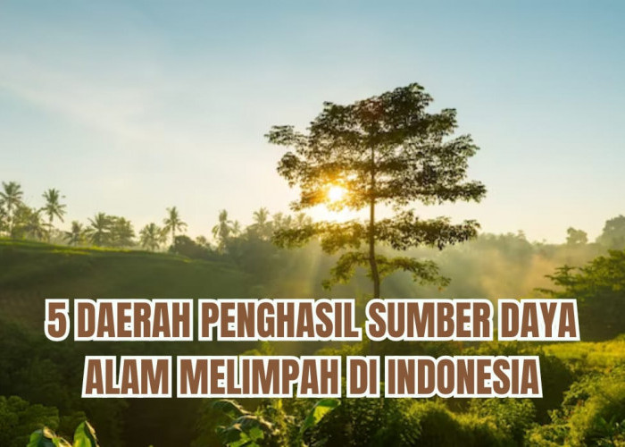 5 Daerah di Indonesia Berlimpah Emas dan Minyak, Semoga Masyarakatnya Sejahtera!