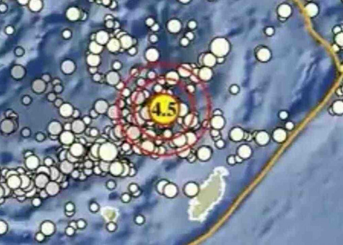 Gempa Magnitudo 4.5 Guncang Maluku Tenggara Barat, Tak Berpotensi Tsunami