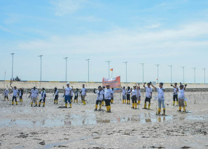 PHE Nunukan Company Giatkan Jaga Alam dan Lingkungan di Pulau Bunyu, Ini Buktinya? 