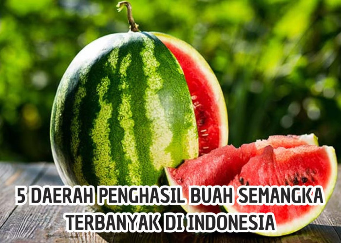 Semangka Jadi Simbol Dukung Palestina! Ini 5 Daerah Penghasil Buah Semangka Terbesar di Indonesia