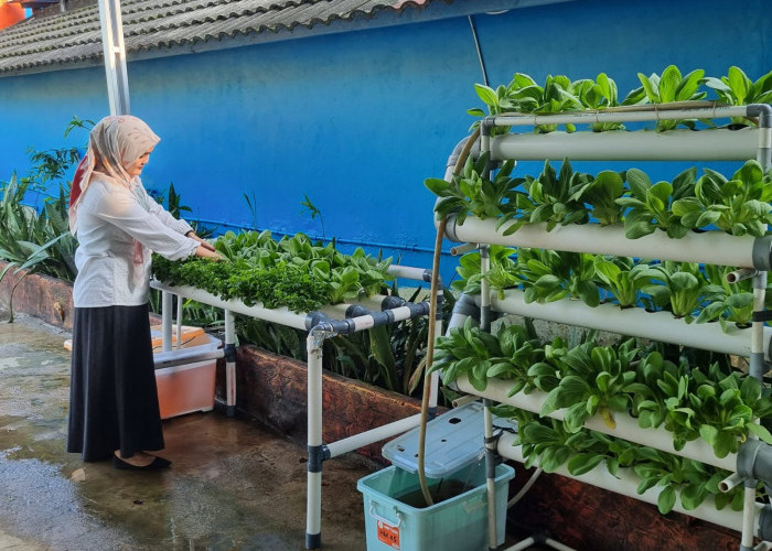 Pertamina Tingkatkan Literasi Energi Bersih melalui Sekolah Energi Berdikari di SMA Negeri 14 Palembang