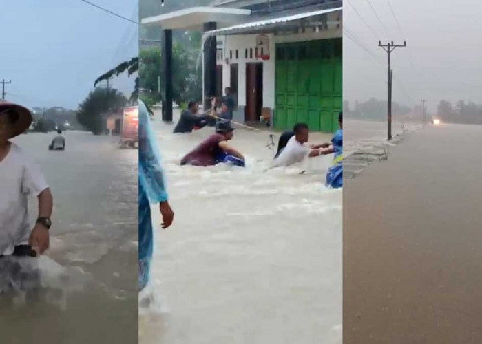 Aktivitas Lumpuh Total! Begini Kondisi Terkini 7 Desa di OKU Timur yang Terendam Banjir