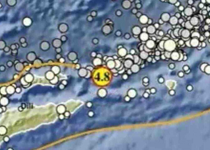 Gempa Magnitudo 4.8 Guncang Maluku Barat Daya, Tak Berpotensi Tsunami