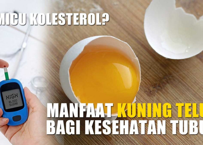 Dituding Pemicu Kolesterol, Inilah 12 Manfaat Kuning Telur Bagi Kesehatan Tubuh