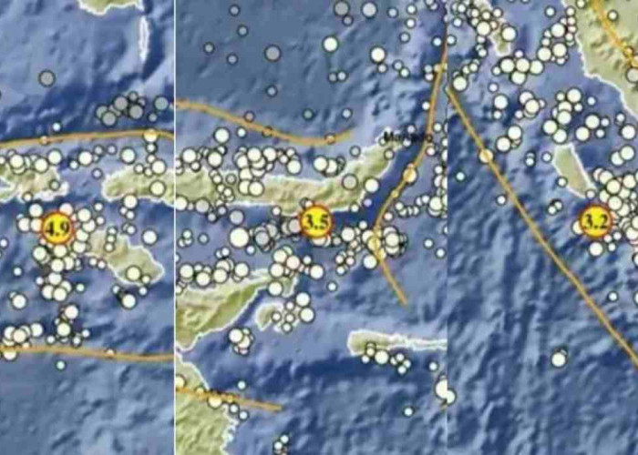 NTT Digoyang Gempa Hari Ini, Kekuatannya Capai 4.9 Magnitudo