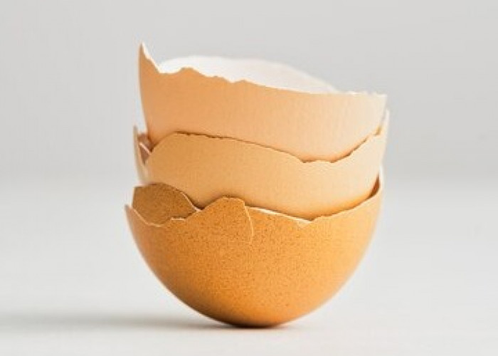 Cangkang Telur Bisa jadi Pupuk Alami, Begini Cara Mengolahnya