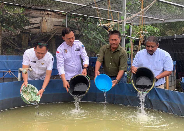 Tingkatkan Ekonomi Desa, Warga Tanjung Baru Lahat Sulap Bantuan 5000 Bibit Lele Jadi Bisnis Bioflok Produktif