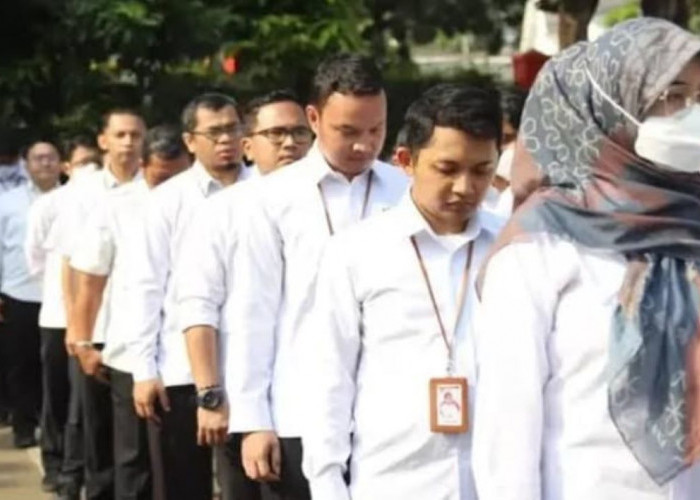 Kabar Baik! BKN Buka Peluang Pengangkatan PPPK Paruh Waktu Jadi Full Time