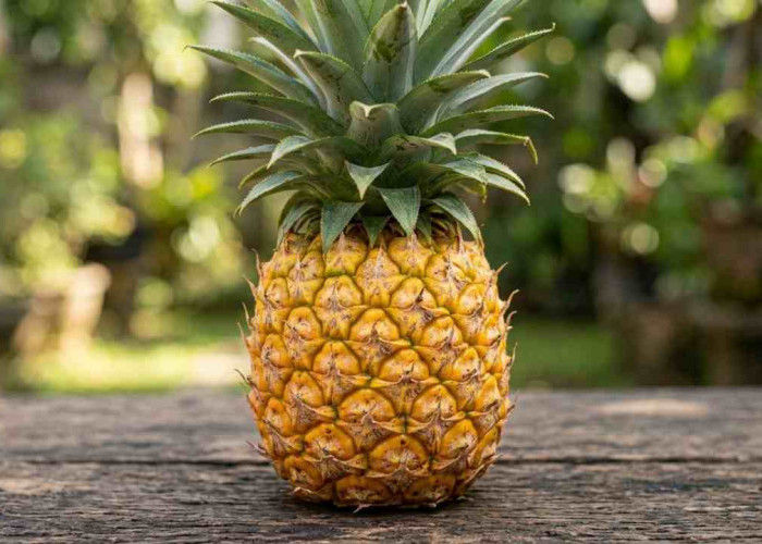 Ini Alasan Buah Nanas Layak Masuk Menu Harian, Manfaatnya Luar Biasa