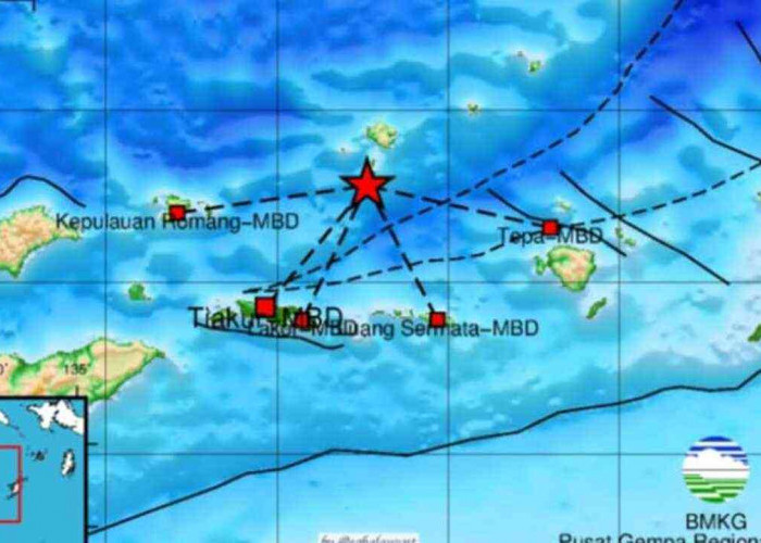 Update Pusat Gempa Regional IX Ambon, Pagi Ini Gempa 4.6 Magnitudo guncang Maluku Barat Daya