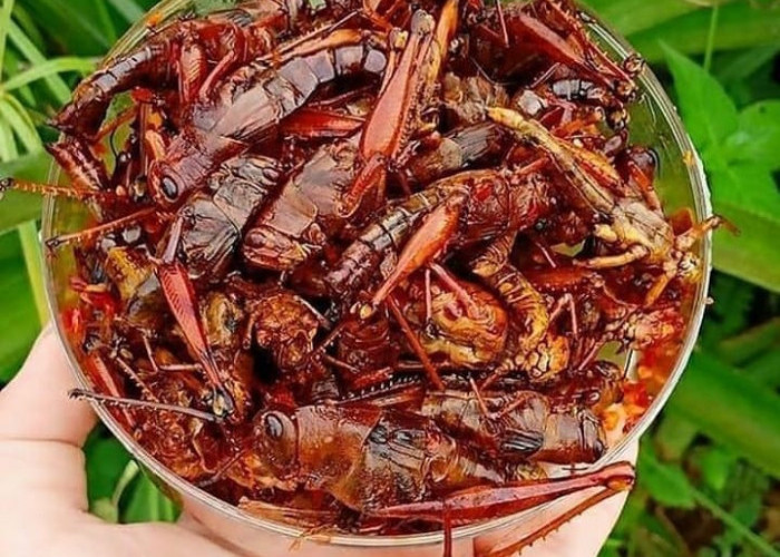 7 Makanan Aneh Tapi Unik yang Ada Di Indonesia, Mulai Dari Belalang Goreng Hingga Sate Kere, Udah Ngerasain?