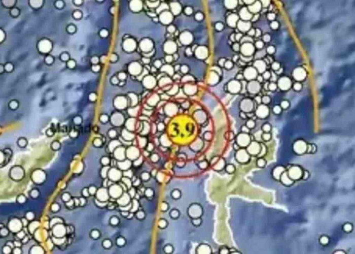 Gempa Magnitudo 3,9 Pagi Ini Guncang Halmahera Barat pada kedalaman 131 Km, Tak Berpotensi Tsunami