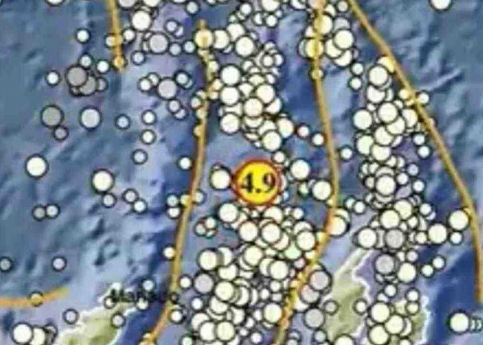 Gempa 4,9 Magnitudo Baru Saja Guncang Melonguane Sulut, Tak Berpotensi Tsunami