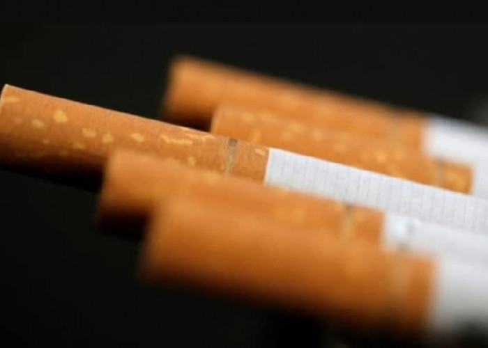 WADUH! Pajak Rokok Minus Tak Sampai Target, Bapenda Mulai Angkat Bicara 