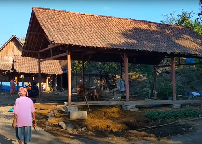 Berada di Tengah Hutan Tandus, Desa Terpencil di Kabupaten Bojonegoro: Hanya Dihuni 9 KK, Kehidupan Warganya?