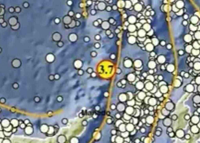 Gempa Magnitudo 3,7 Pagi Ini Guncang Kepulauan Sitaro, Tak Berpotensi Tsunami