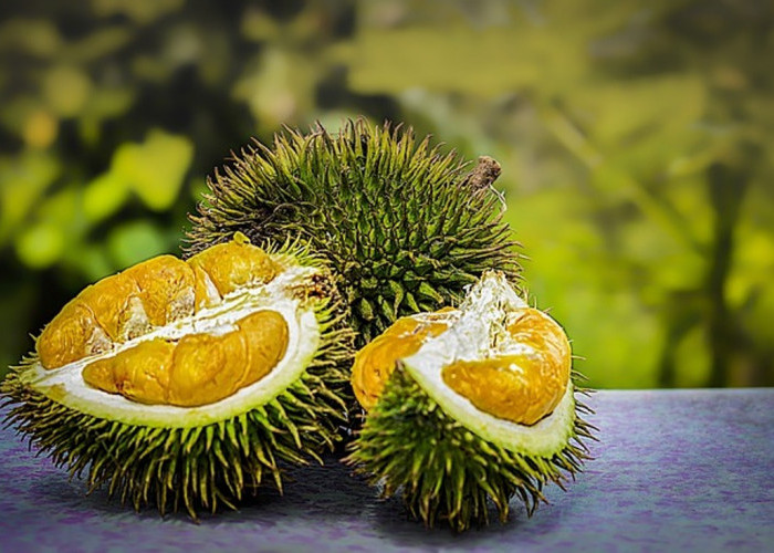 Ternyata Makan Buah Durian Bisa Buat Jantung Kamu Sehat, Kok Bisa?