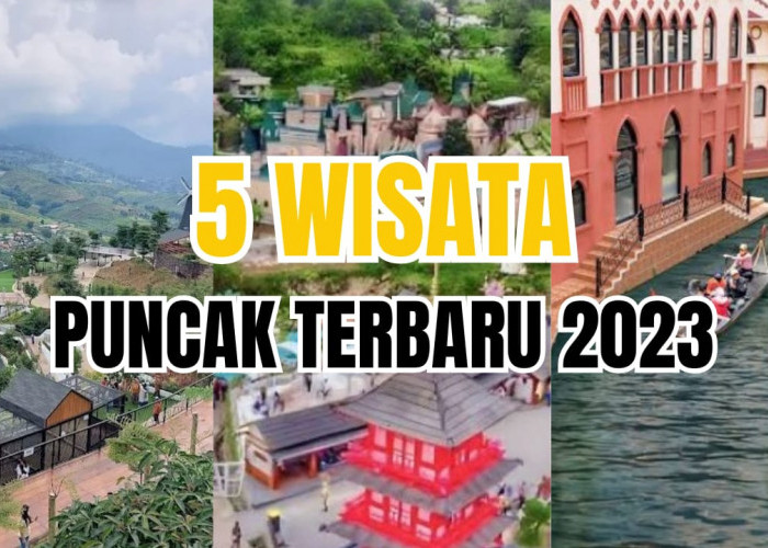 5 Tempat Wisata Puncak Terbaru 2023 yang Instagramable Banget