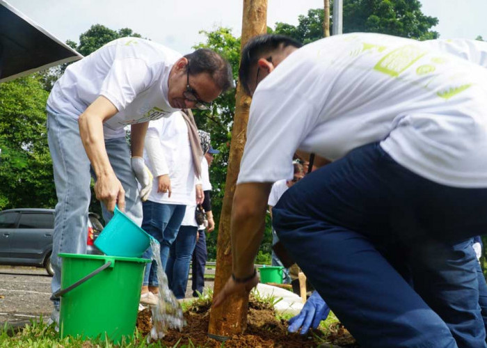 Aksi Nyata! 4.920 Pohon Ditanam di Bandara SMB II Palembang, Komitmen Lingkungan Injourney Airports