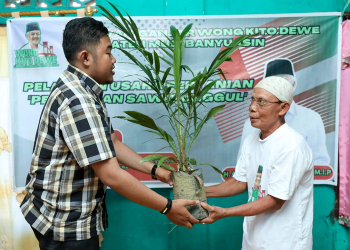 Wong Kito Ganjar Adakan Pelatihan Pertanian Pembibitan Sawit Bagi Warga Sumsel
