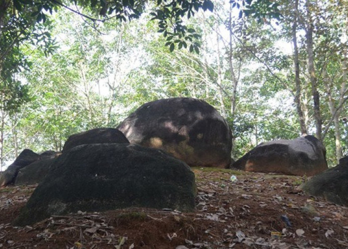 Jaraknya 3 Jam dari Palembang, Desa Terpencil di OKI Ini Punya Batu Sumpahan Si Pahit Lidah