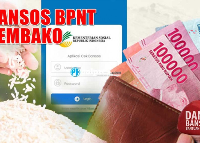 RESMI! Pemilik KTP dan KK Bisa Dapat Bansos BPNT Sembako Rp200.000   