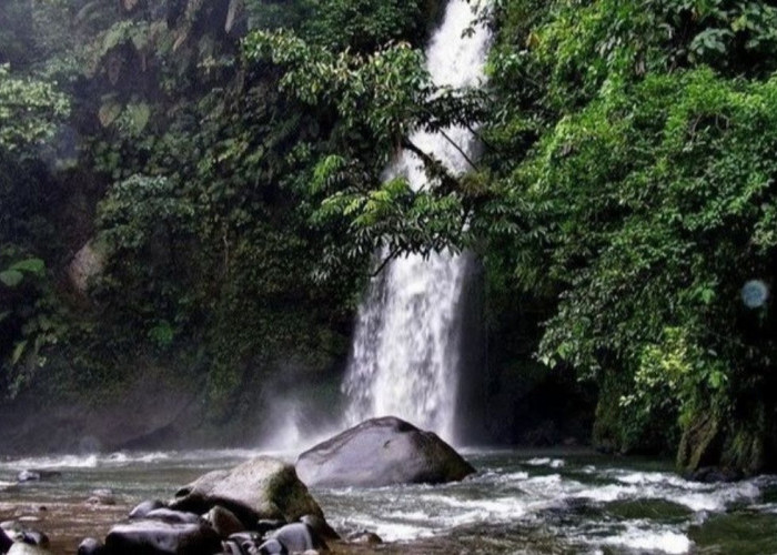 6,5 Jam dari Palembang Ada Air Terjun Tertinggi di Sumatera Selatan, Aliran Airnya dari Gunung Dempo