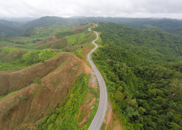 Ada Warung Cantik Sendirian di Jalur Ekstrem Trenggalek, Padahal Rawan Kecelakaan, Ga Bahaya Ta?