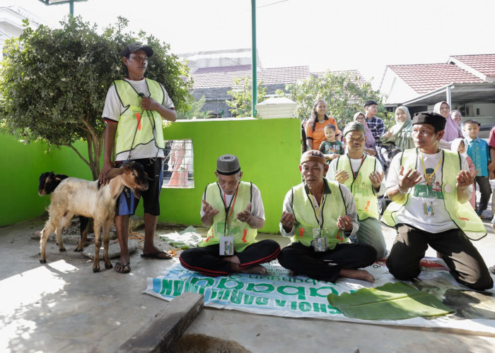 Wong Kito Ganjar Salurkan Hewan Kurban di 3 Wilayah di Kota Palembang 