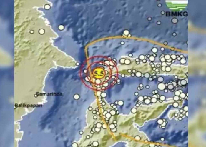 Update BMKG, Gempa 5.5 Magnitudo Guncang Sulteng dari Kedalaman 35 Km, Tak Berpotensi Tsunami