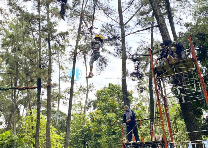 Anak Kecanduan Gadget? Ajak ke Punti Kayu, Belajar Alam dengan Cara Seru!