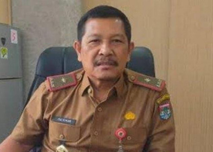 Pemkot Lubuk Linggau Sudah Anggarkan Gaji PPPK Paruh Waktu di OPD, Ini Besarannya