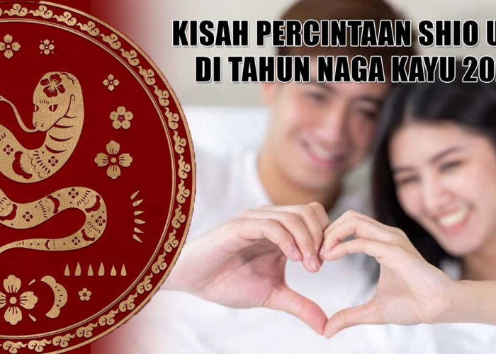 Prediksi Kisah Percintaan Shio Ular di Tahun Naga Kayu, 2024 Tampaknya Jadi Tantangan Dalam Kehidupan Romantis