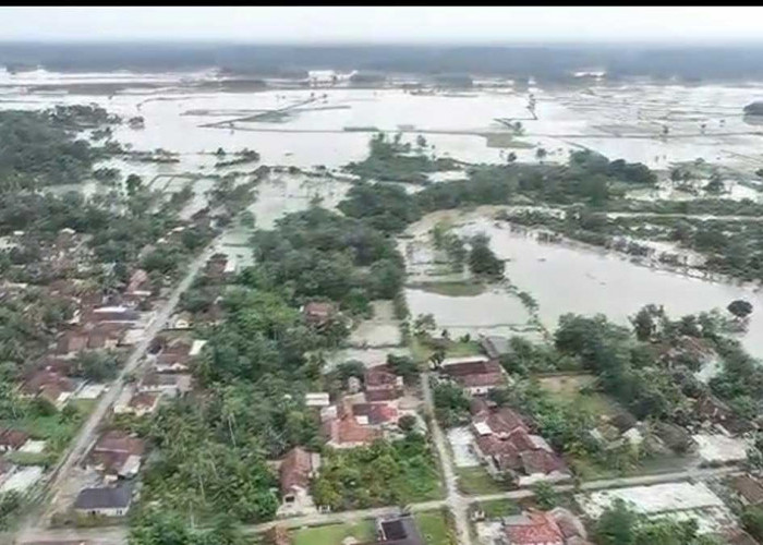 Waspada Banjir Susulan! Meski Mulai Surut, Ribuan Rumah di Belitang OKU Timur Masih Terendam Air