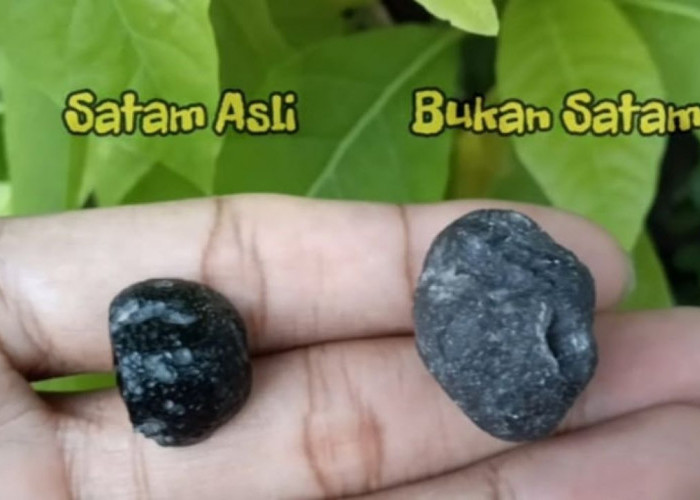 Cara Membedakan Batu Satam Asli dan Palsu yang Wajib Pecinta Akik Ketahui