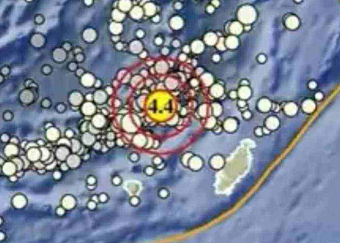 Gempa Magnitudo 4.4 Pagi Ini Guncang Maluku Tenggara Barat, Tak Berpotensi Tsunami