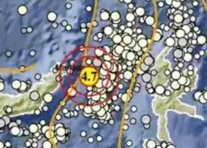 Gempa Bumi Magnitudo 4,7 Siang Ini Guncang Bitung pada Kedalaman 43 Km, Tak Berpotensi Tsunami