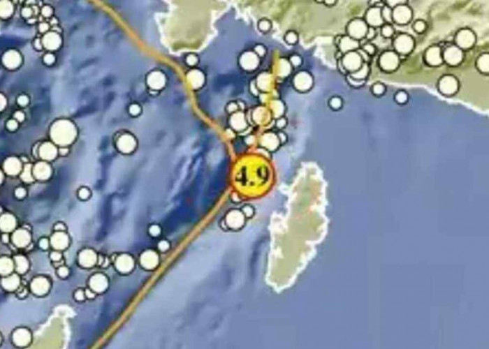 Gempa 4,9 Magnitudo Pagi Ini Guncang Kepulauan Aru, Tak Berpotensi Tsunami